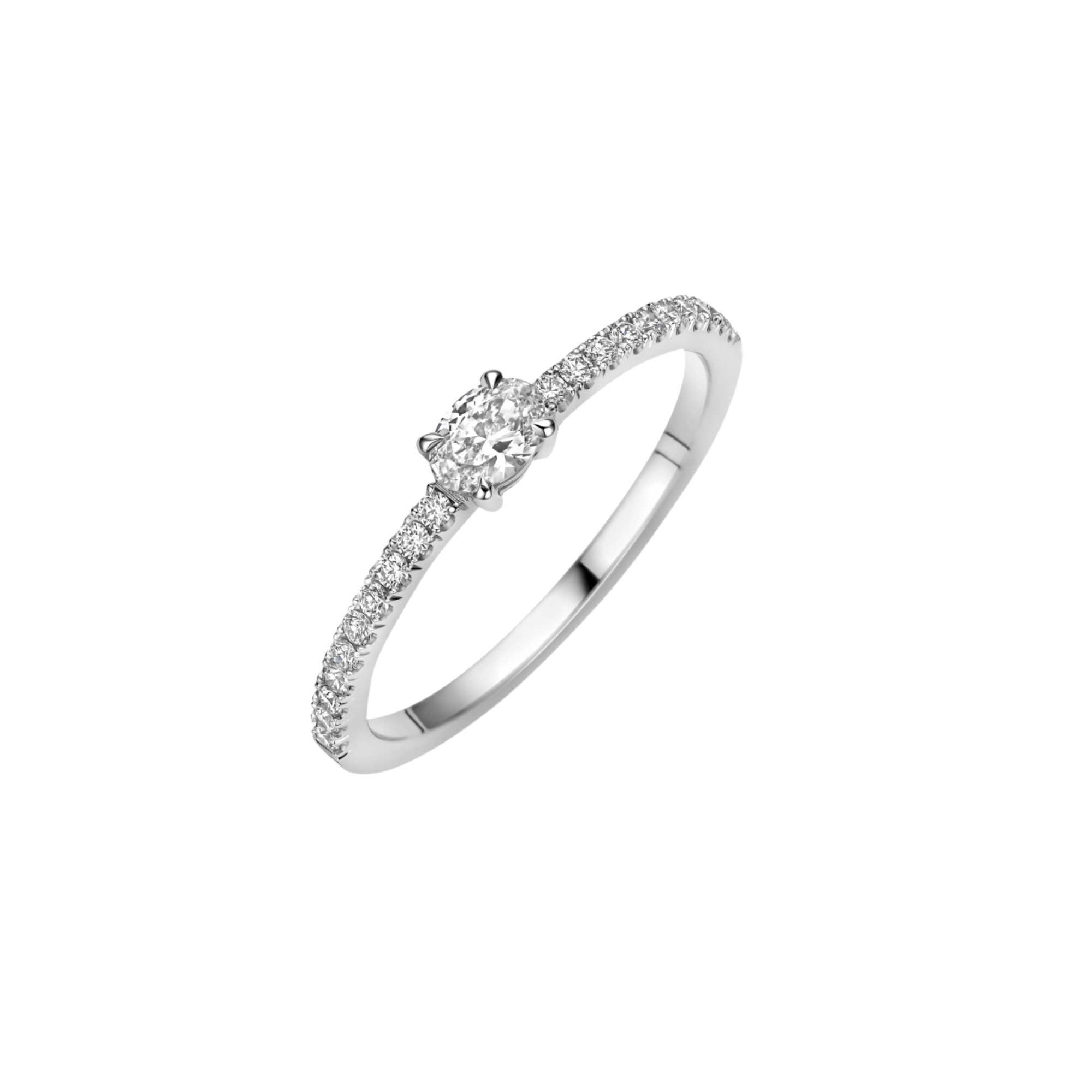 Diamonds Ring - Schaap en Citroen Diamonds Ring - Schaap en Citroen