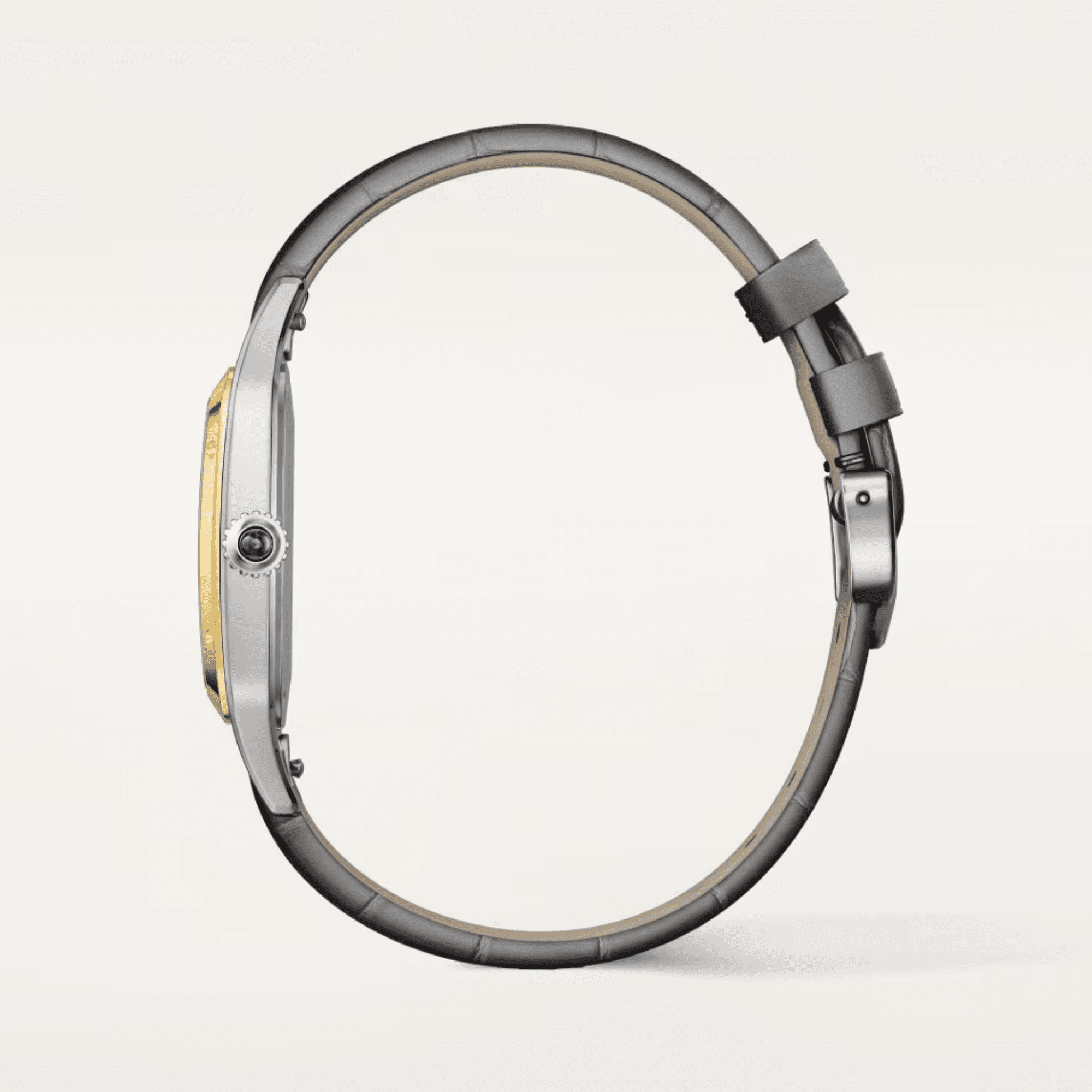 Cartier Santos de Cartier Santos-Dumont - W2SA0046 - #4 Cartier Santos de Cartier Santos-Dumont - W2SA0046 - #4