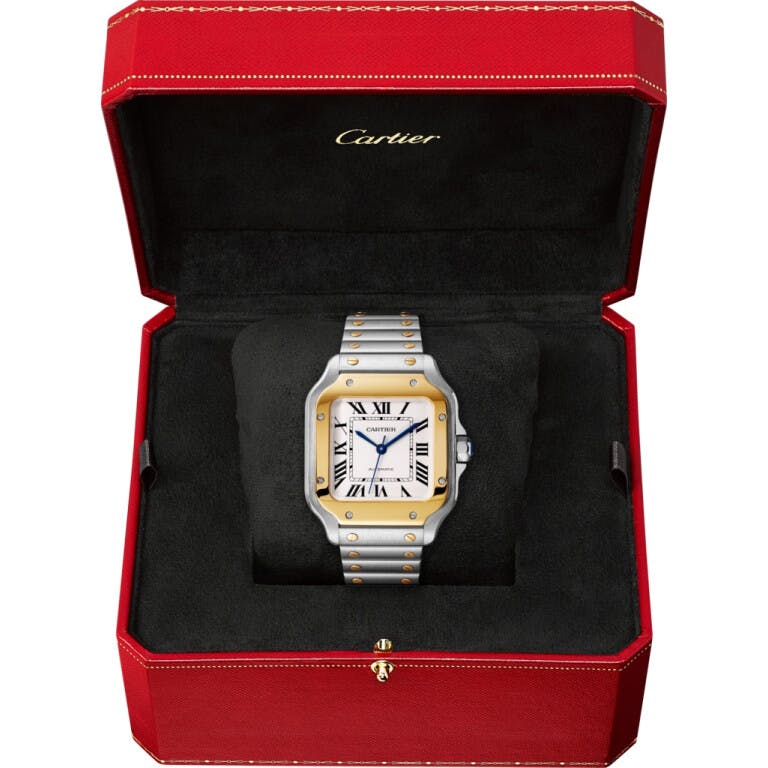 Cartier Santos de Cartier Medium - W2SA0007 - #4