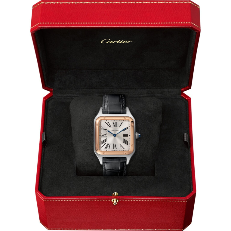 Cartier Santos de Cartier Santos-Dumont LM - W2SA0011 - #6 Cartier Santos de Cartier Santos-Dumont LM - W2SA0011 - #6