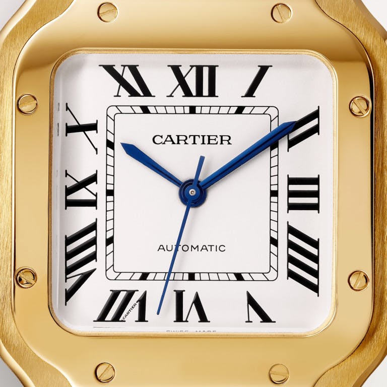 Cartier Santos de Cartier Medium - WGSA0030 - #3