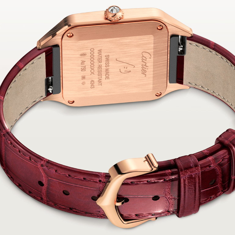 Cartier Santos de Cartier Santos-Dumont SM - WJSA0017 - #5 Cartier Santos de Cartier Santos-Dumont SM - WJSA0017 - #5