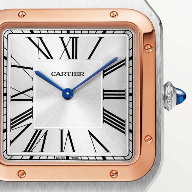 Cartier Santos de Cartier Santos-Dumont XL - W2SA0017 - #2 Cartier Santos de Cartier Santos-Dumont XL - W2SA0017 - #2