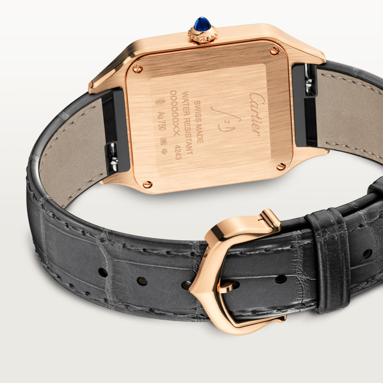 Cartier Santos de Cartier Santos-Dumont SM - WGSA0022 - #6 Cartier Santos de Cartier Santos-Dumont SM - WGSA0022 - #6