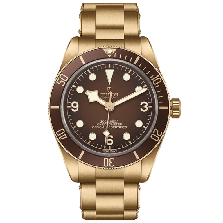 Black Bay 39mm - Tudor  - 79012M-0001 Black Bay 39mm - Tudor - 79012M-0001