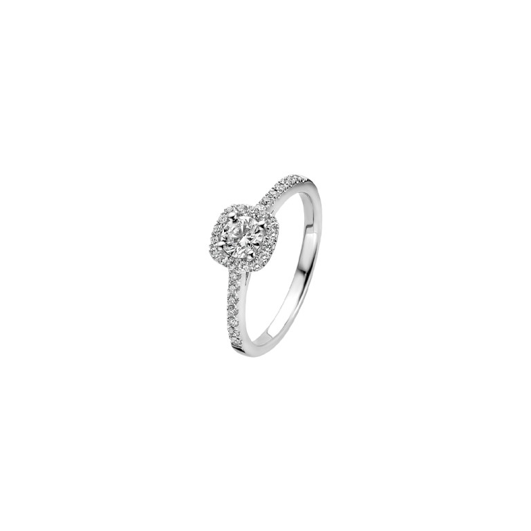 witgoud entourage ring met diamant Schaap en Citroen Diamonds - #3 witgoud entourage ring met diamant Schaap en Citroen Diamonds - #3