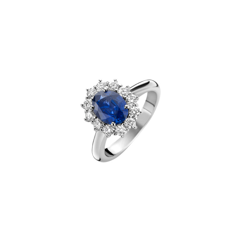 witgoud entourage ring met diamant SC Highlights Colours - #3 witgoud entourage ring met diamant SC Highlights Colours - #3