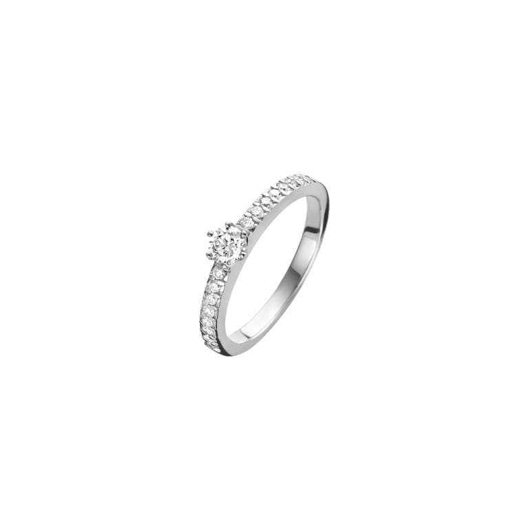 witgoud solitair ring met diamant Schaap en Citroen Diamonds