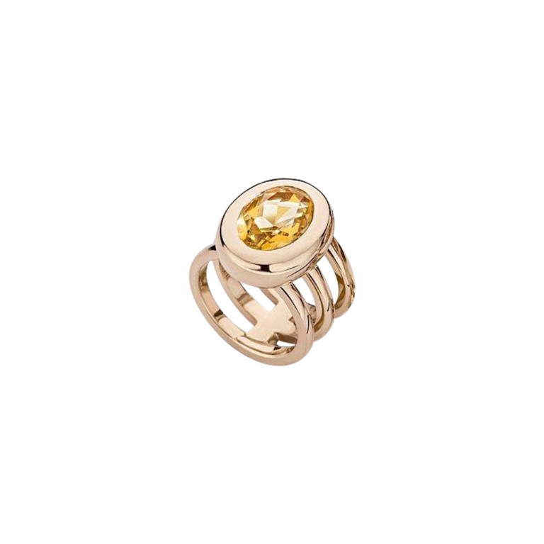 Colours Ring - Schaap en Citroen Colours Ring - Schaap en Citroen