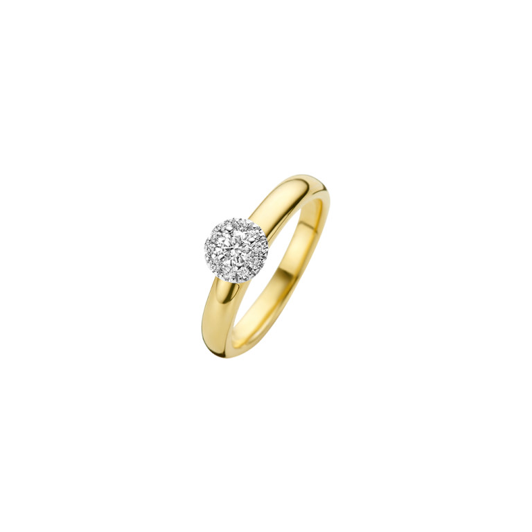 Diamonds Ring - Schaap en Citroen Diamonds Ring - Schaap en Citroen