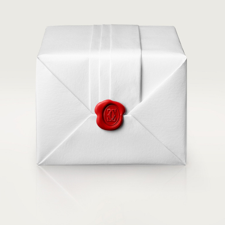 Cartier Santos de Cartier Chronograph XL - W2SA0008 - #11 Cartier Santos de Cartier Chronograph XL - W2SA0008 - #11