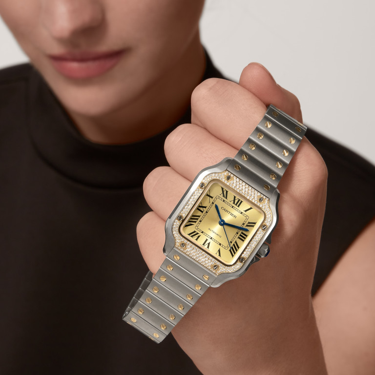 Cartier Santos de Cartier MM - W3SA0007 - #9 Cartier Santos de Cartier MM - W3SA0007 - #9