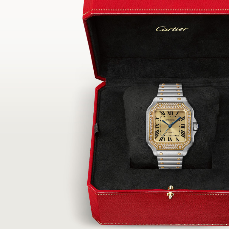 Cartier Santos de Cartier MM - W3SA0007 - #5 Cartier Santos de Cartier MM - W3SA0007 - #5