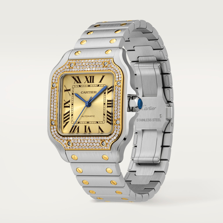 Cartier Santos de Cartier MM - W3SA0007 - #3 Cartier Santos de Cartier MM - W3SA0007 - #3