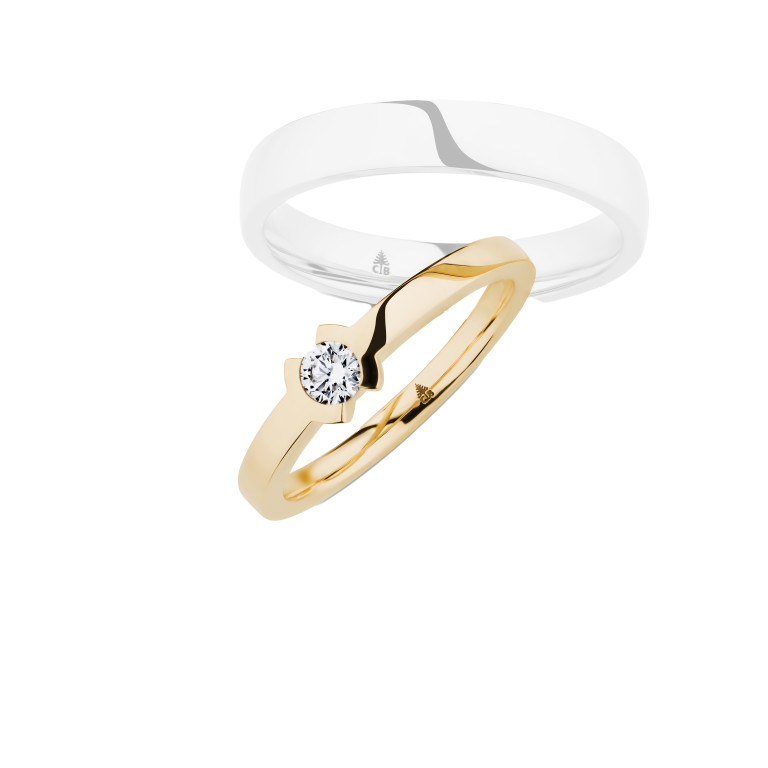geelgoud trouwring Classic Love Collection - 241699 - #4 geelgoud trouwring Classic Love Collection - 241699 - #4