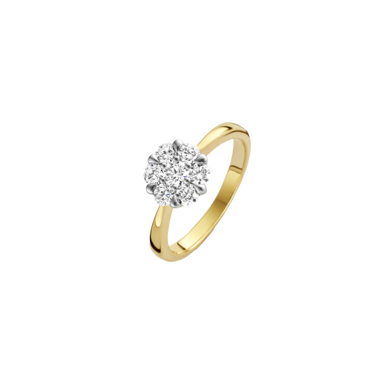 Diamonds Ring - Schaap en Citroen Diamonds Ring - Schaap en Citroen