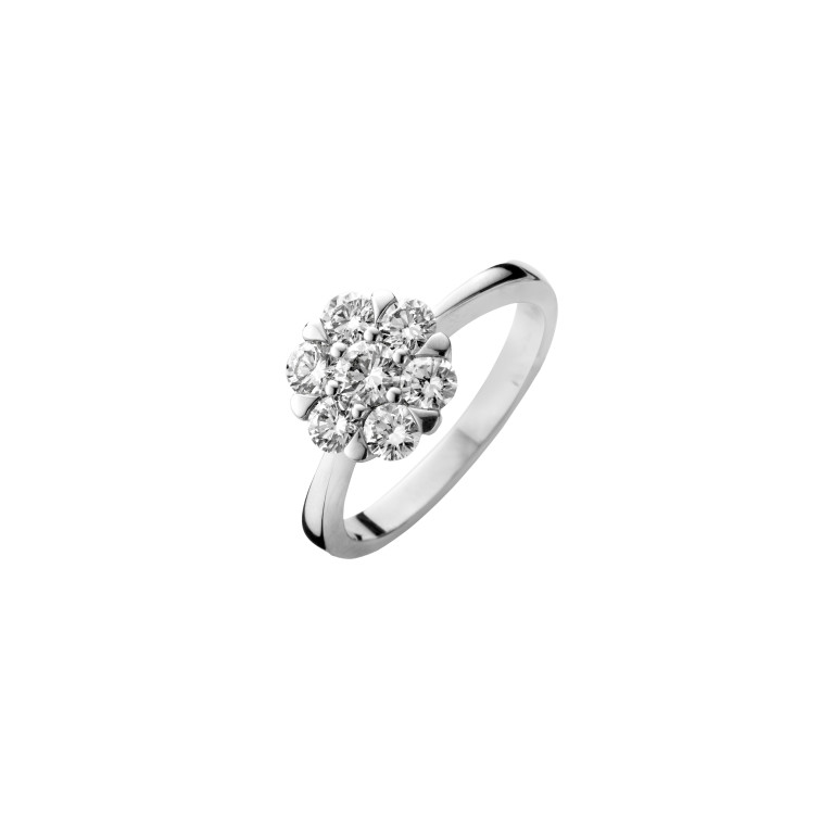 Diamonds Ring - Schaap en Citroen Diamonds Ring - Schaap en Citroen