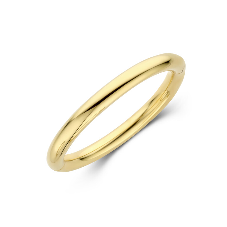 geelgoud gladde armband Schaap en Citroen Essentials - #3 geelgoud gladde armband Schaap en Citroen Essentials - #3