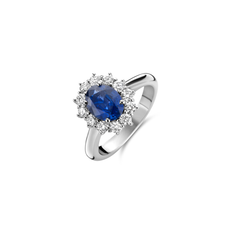 witgoud entourage ring met diamant SC Highlights Colours - #2 witgoud entourage ring met diamant SC Highlights Colours - #2