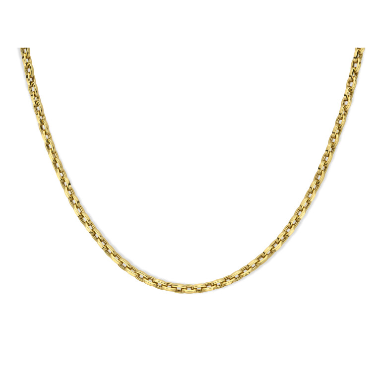geelgoud collier Schaap en Citroen Essentials - #3 geelgoud collier Schaap en Citroen Essentials - #3