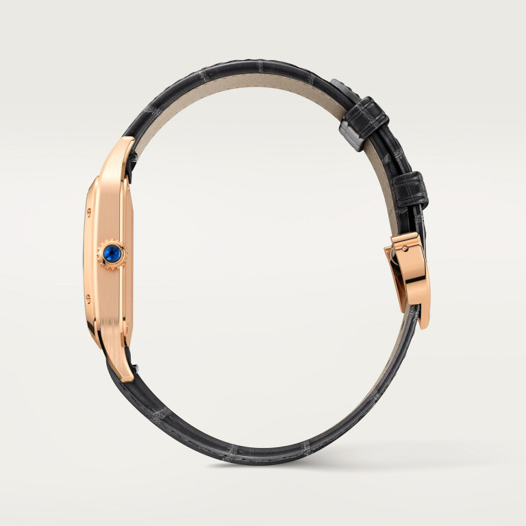 Cartier Santos de Cartier Santos-Dumont SM - WGSA0022 - #7 Cartier Santos de Cartier Santos-Dumont SM - WGSA0022 - #7
