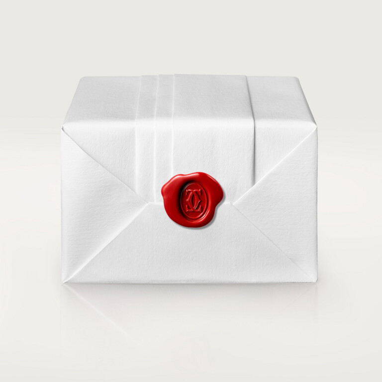 Cartier Santos de Cartier Santos-Dumont XL - W2SA0017 - #9 Cartier Santos de Cartier Santos-Dumont XL - W2SA0017 - #9