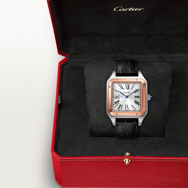 Cartier Santos de Cartier Santos-Dumont XL - W2SA0017 - #8 Cartier Santos de Cartier Santos-Dumont XL - W2SA0017 - #8