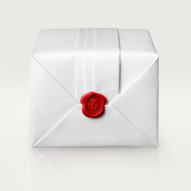 Cartier Santos de Cartier 40mm - WGSA0018 - #8 Cartier Santos de Cartier 40mm - WGSA0018 - #8