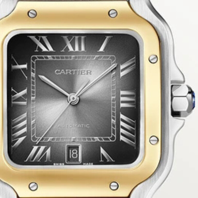 Cartier Santos de Cartier LM - W2SA0030 - #5 Cartier Santos de Cartier LM - W2SA0030 - #5
