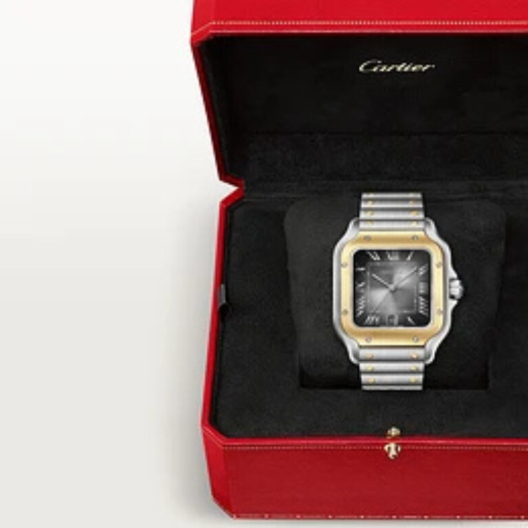 Cartier Santos de Cartier LM - W2SA0030 - #8 Cartier Santos de Cartier LM - W2SA0030 - #8