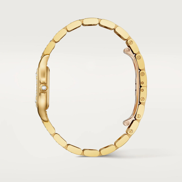 Cartier Panthère de Cartier SM - WJPN0059 - #4 Cartier Panthère de Cartier SM - WJPN0059 - #4