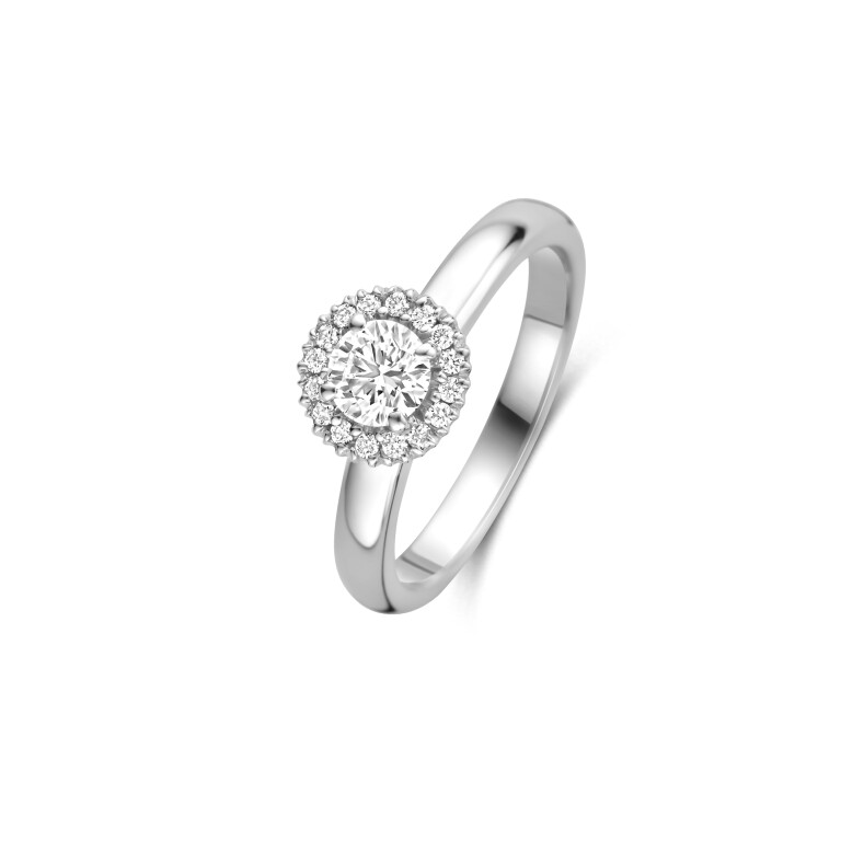 geel/wit goud entourage ring met diamant Schaap en Citroen Diamonds - #2 geel/wit goud entourage ring met diamant Schaap en Citroen Diamonds - #2