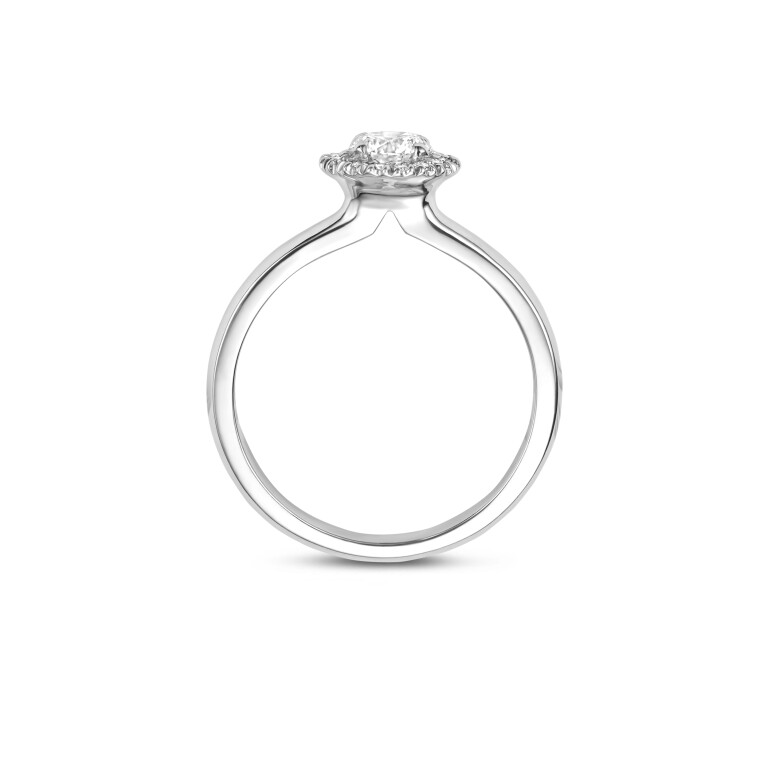 geel/wit goud entourage ring met diamant Schaap en Citroen Diamonds - #4 geel/wit goud entourage ring met diamant Schaap en Citroen Diamonds - #4