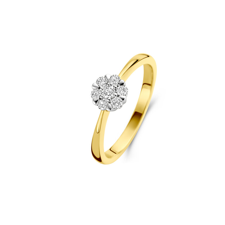 geel/wit goud entourage ring met diamant Schaap en Citroen Diamonds - #2 geel/wit goud entourage ring met diamant Schaap en Citroen Diamonds - #2