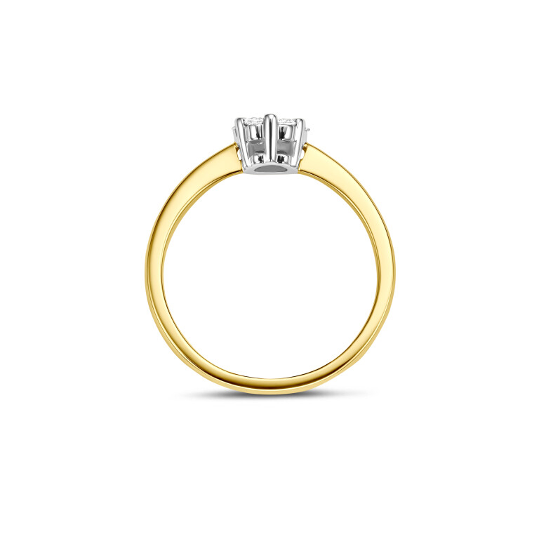 geel/wit goud entourage ring met diamant Schaap en Citroen Diamonds - #3 geel/wit goud entourage ring met diamant Schaap en Citroen Diamonds - #3