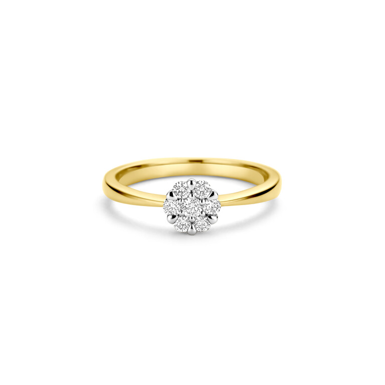 geel/wit goud entourage ring met diamant Schaap en Citroen Diamonds - #4 geel/wit goud entourage ring met diamant Schaap en Citroen Diamonds - #4