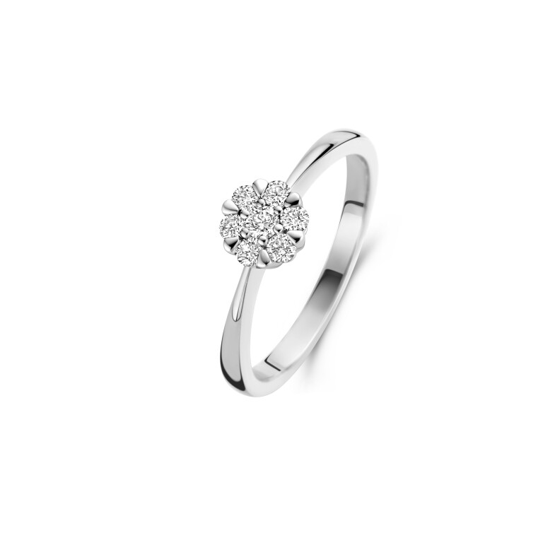 witgoud entourage ring met diamant Schaap en Citroen Diamonds - #2 witgoud entourage ring met diamant Schaap en Citroen Diamonds - #2