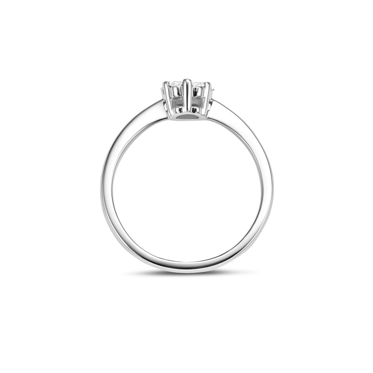 witgoud entourage ring met diamant Schaap en Citroen Diamonds - #3 witgoud entourage ring met diamant Schaap en Citroen Diamonds - #3