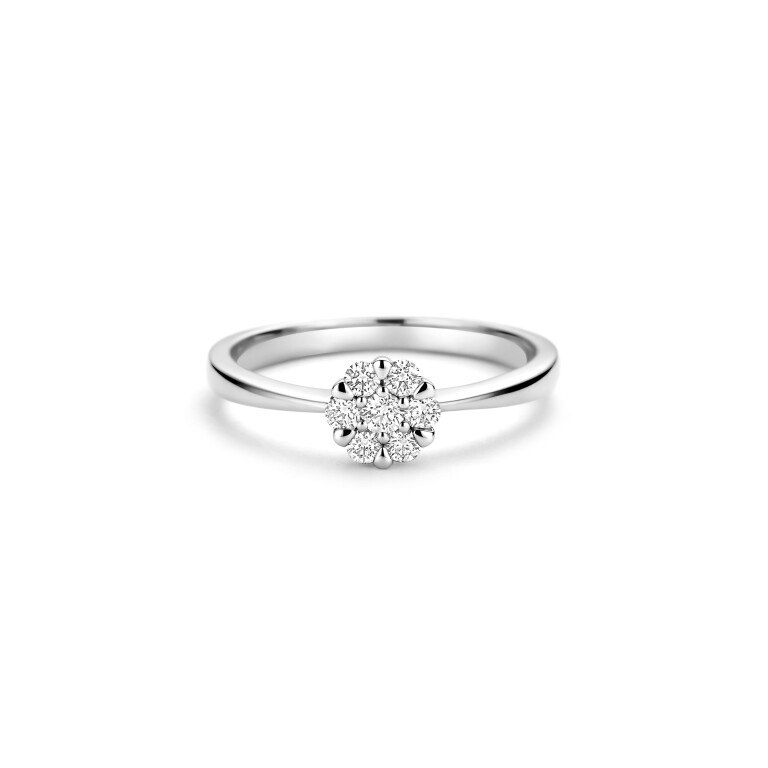 witgoud entourage ring met diamant Schaap en Citroen Diamonds - #4 witgoud entourage ring met diamant Schaap en Citroen Diamonds - #4