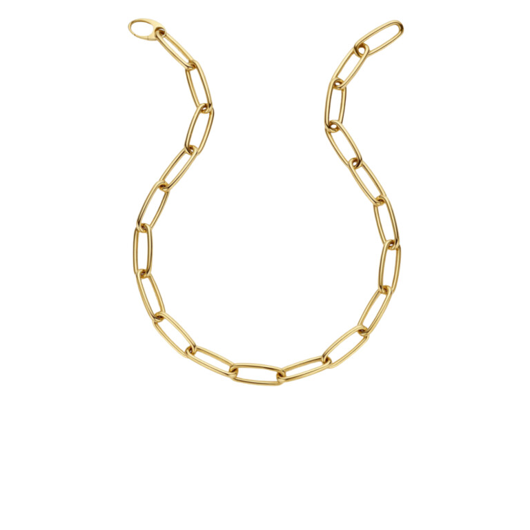 geelgoud schakel collier Schaap en Citroen Essentials - #3 geelgoud schakel collier Schaap en Citroen Essentials - #3