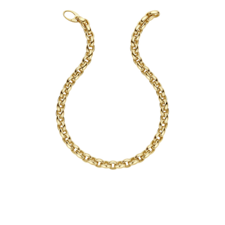 geelgoud jasseron collier Schaap en Citroen Essentials - #2 geelgoud jasseron collier Schaap en Citroen Essentials - #2