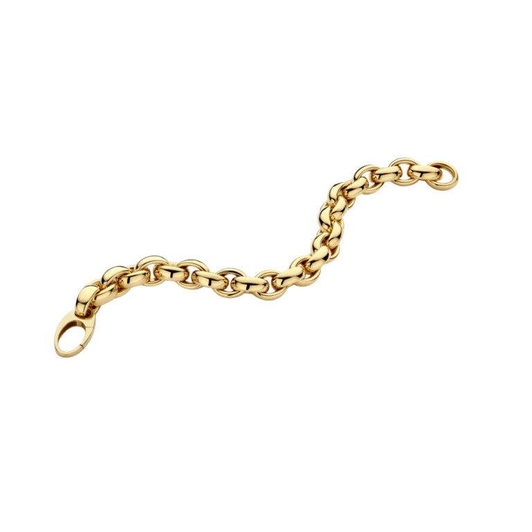 geelgoud schakel armband Schaap en Citroen Essentials - #2 geelgoud schakel armband Schaap en Citroen Essentials - #2