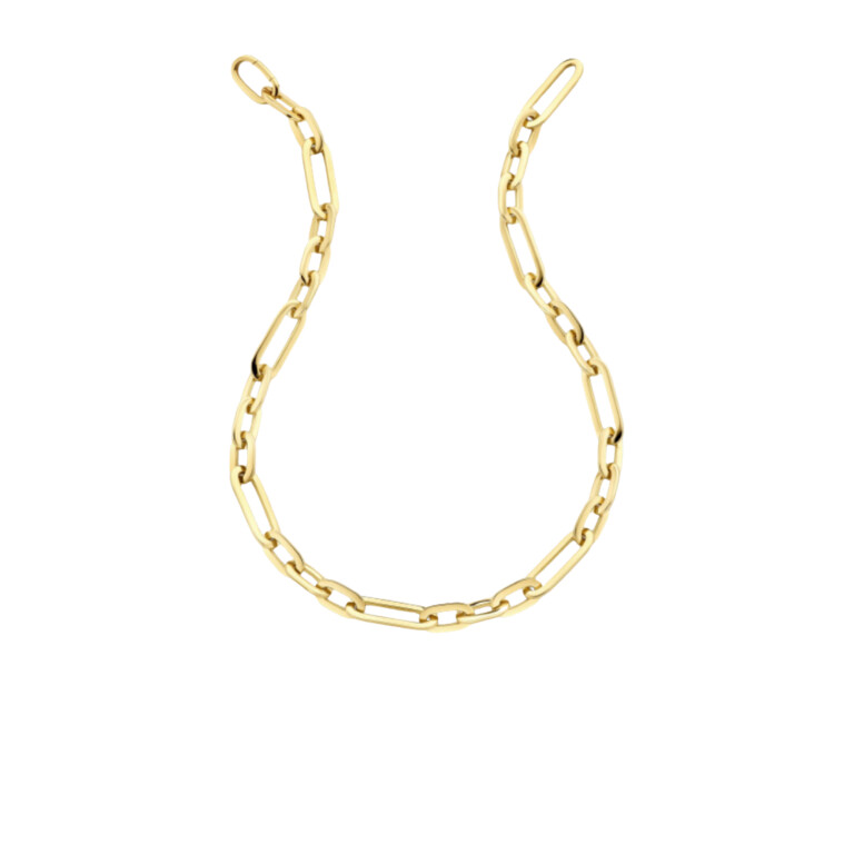 geelgoud schakel collier Schaap en Citroen Essentials - #4 geelgoud schakel collier Schaap en Citroen Essentials - #4