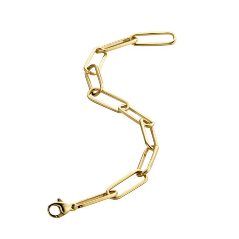 geelgoud schakel armband Schaap en Citroen Essentials - #2 geelgoud schakel armband Schaap en Citroen Essentials - #2