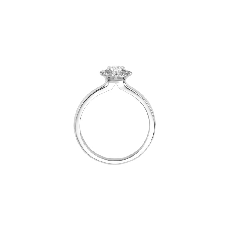 geel/wit goud entourage ring met diamant Schaap en Citroen Diamonds - #3 geel/wit goud entourage ring met diamant Schaap en Citroen Diamonds - #3