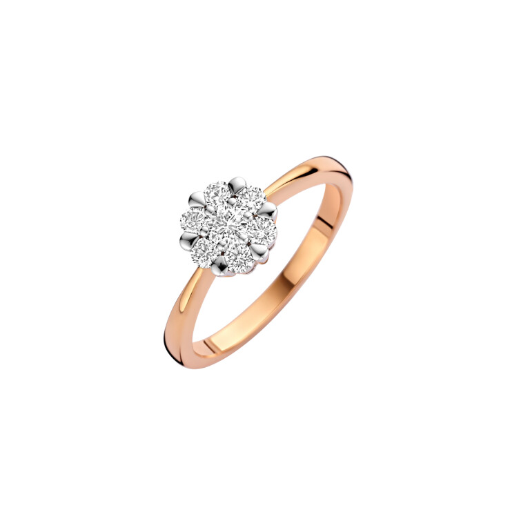 Diamonds Ring - Schaap en Citroen Diamonds Ring - Schaap en Citroen