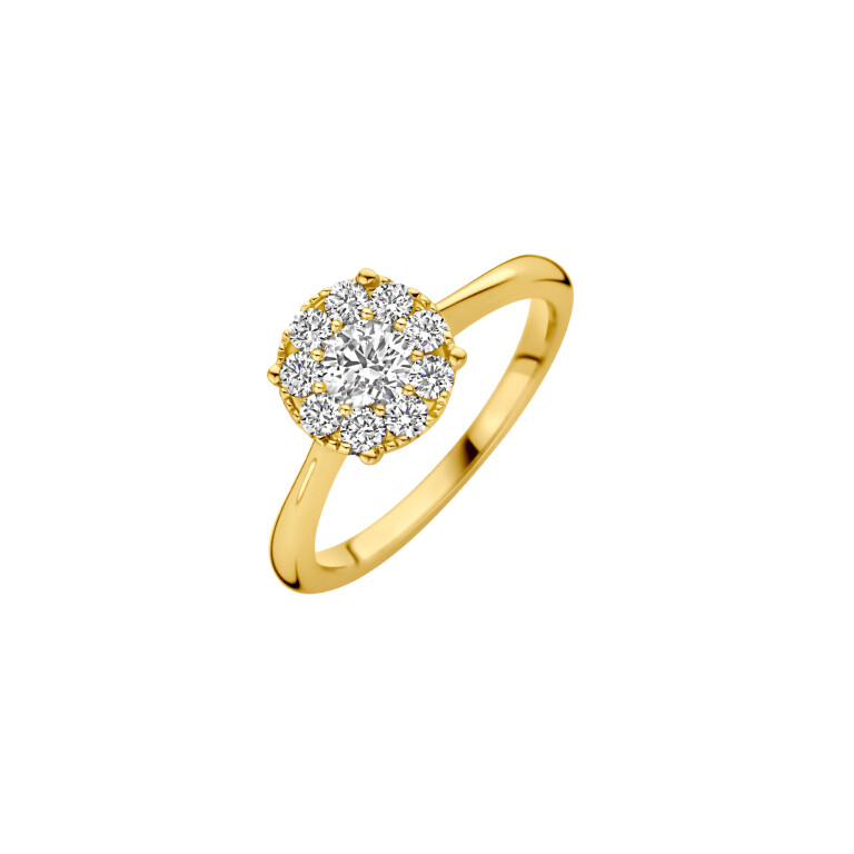 Diamonds Ring - Schaap en Citroen Diamonds Ring - Schaap en Citroen