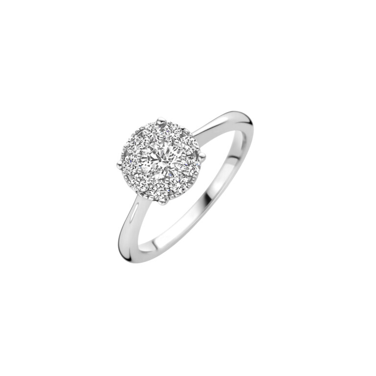 Diamonds Ring - Schaap en Citroen Diamonds Ring - Schaap en Citroen