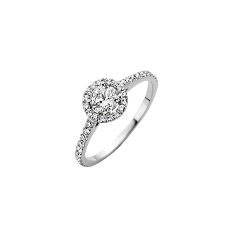 Diamonds Ring - Schaap en Citroen Diamonds Ring - Schaap en Citroen