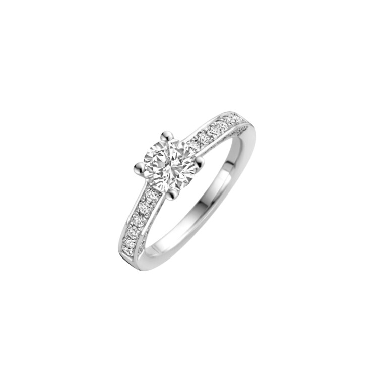 Diamonds Ring - Schaap en Citroen Diamonds Ring - Schaap en Citroen